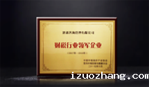 财税行业领军企业